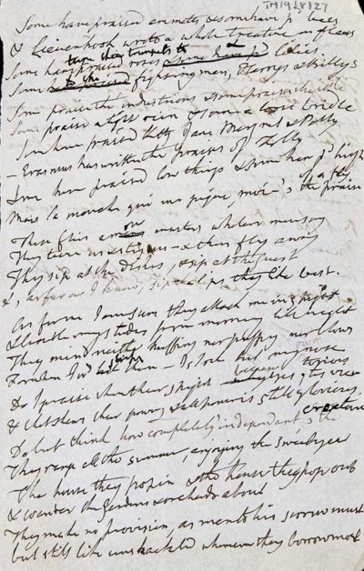 TM/9/8/27-Draft of a poem beginning “Some have praised emmetts and some have praised bees/ & Lievenhook wrote a whole treatise on fleas”