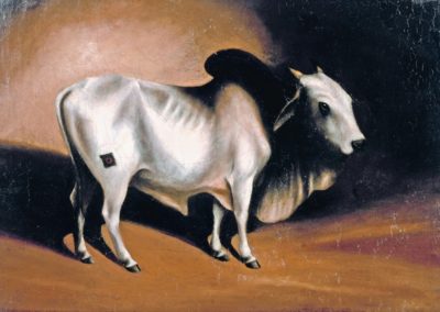 [RAS 01.005] A Brahminy Bull