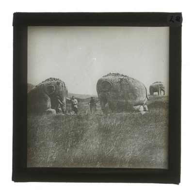 [Glass Slide.01/(028)] Ming Xiaoling, Nanjing