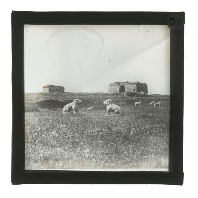 [Glass Slide.01/(050)] Ming Xiaoling, Nanjing