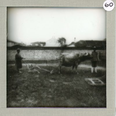 [Glass Slide.01/(060)] Ploughing a Field, China