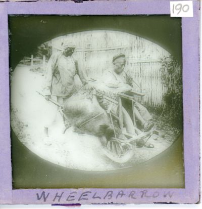 [Glass Slide.01/(190)] Wheelbarrow as Transport, China