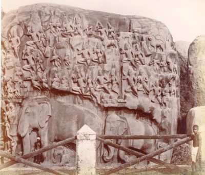 [Photo.12/(023)] The Seven Pagodas [Mamallapuram], nearer view of the left portion of the carvings [Arjuna’s Penance]