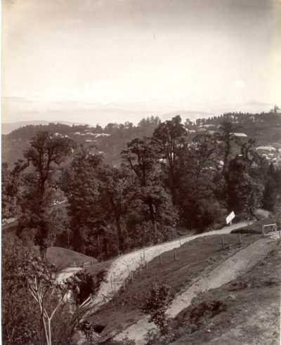 [Photo.14/(016)] Darjeeling