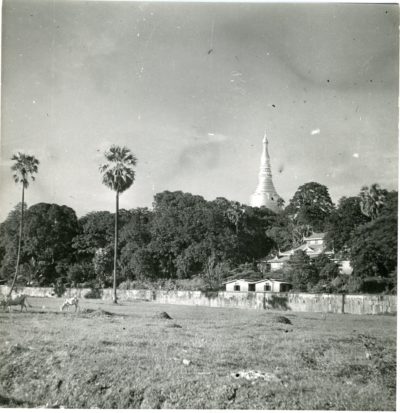 [Photo.31/(033)] Shwe Dagon Pagoda, Rangoon