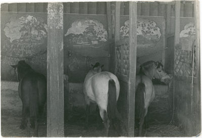 [Photo.86/2(079)] Horses in the Dalai Lama’s stables